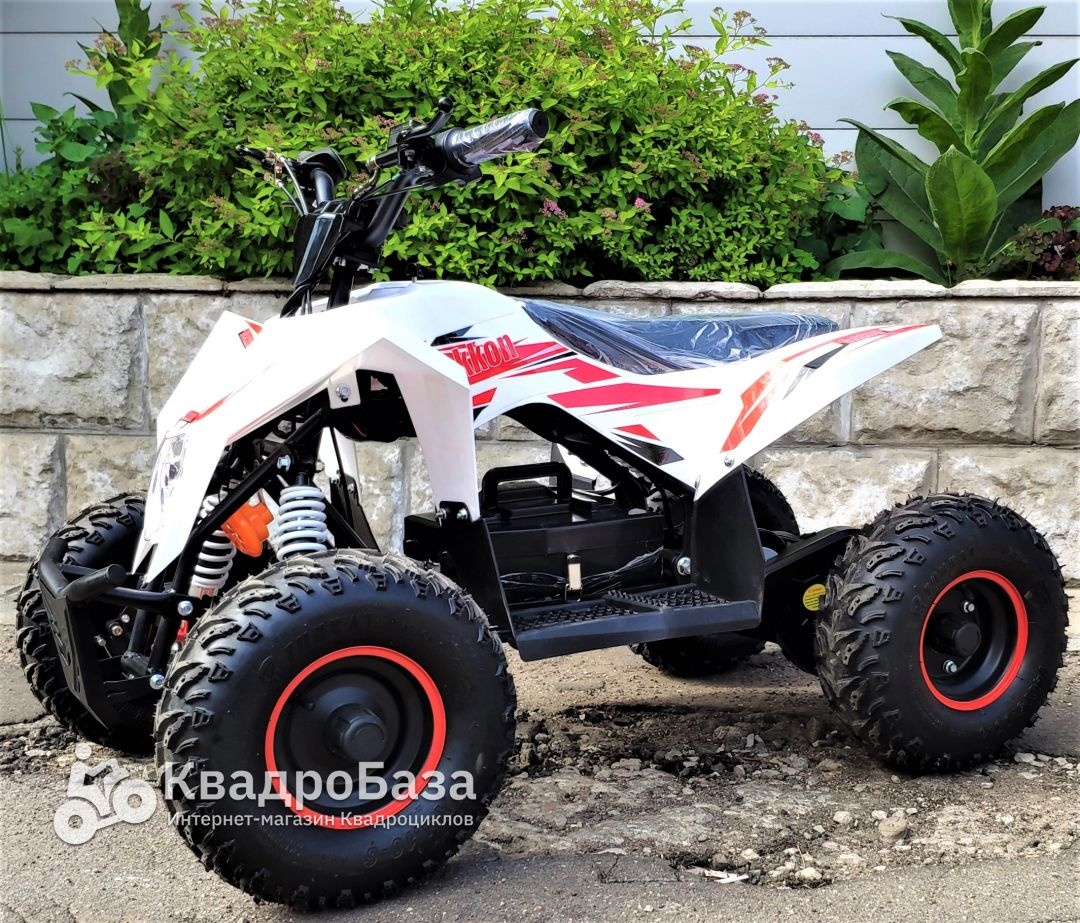 Детский электроквадроцикл Motax Gekkon 1300W